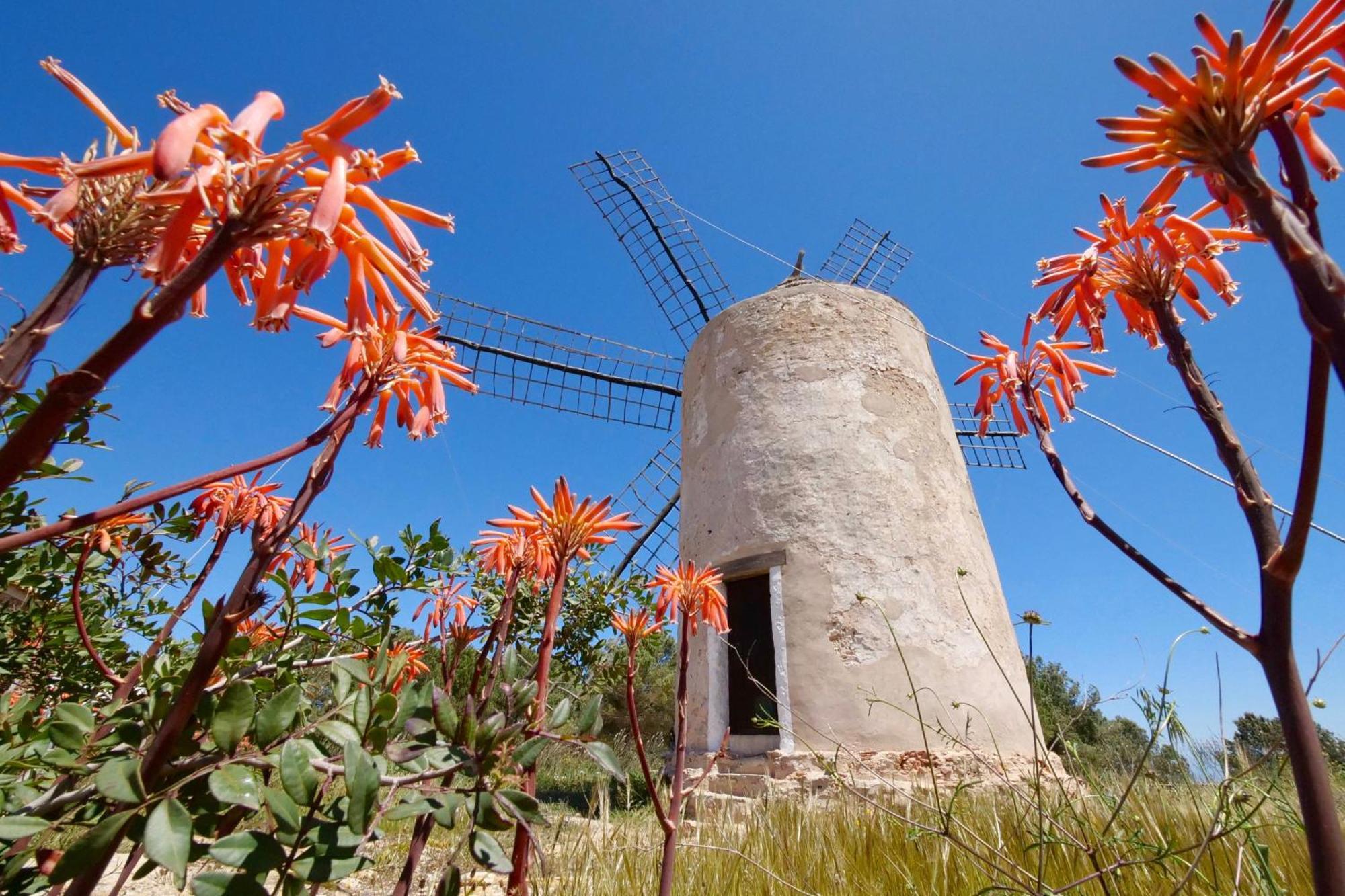 Voga Mari - Astbury Formentera Apartment ปลายามิจอร์น ภายนอก รูปภาพ
